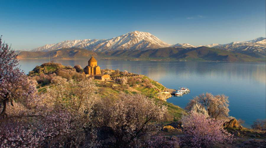 Quais são as escolhas de veículos mais populares em Van?